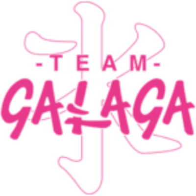 Team Galaga Kitsune