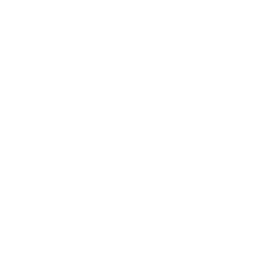 TSM X