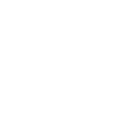 Radiance 2025