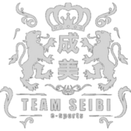 TEAM SEIBI