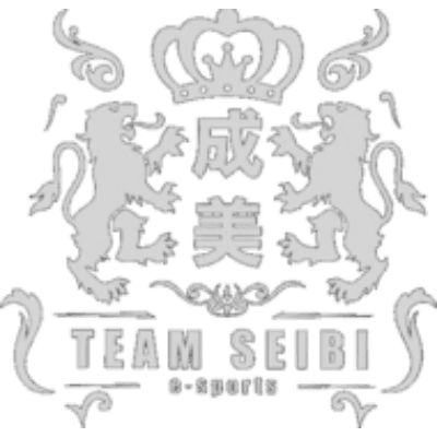 TEAM SEIBI