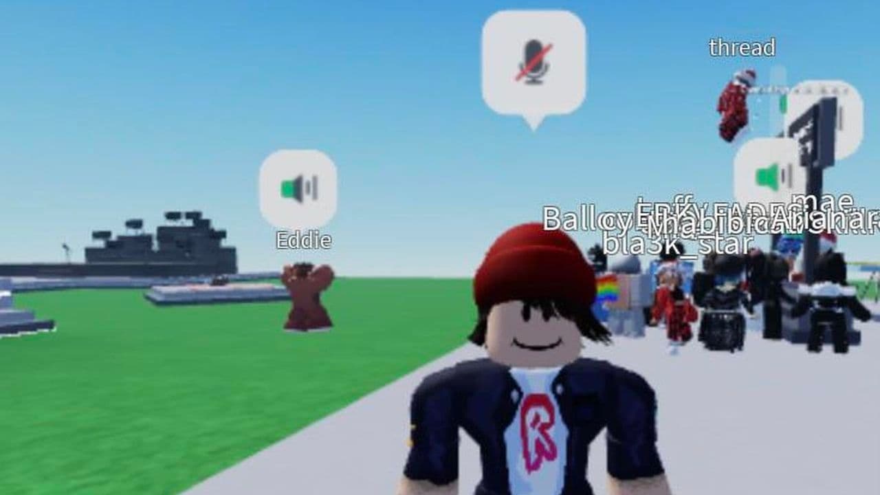 Roblox voice chat