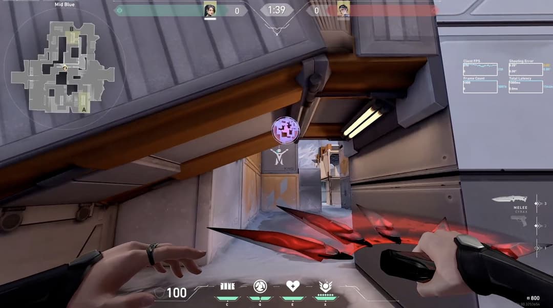 Ruse vision bug pre-patch (Image Source: Riot Games)