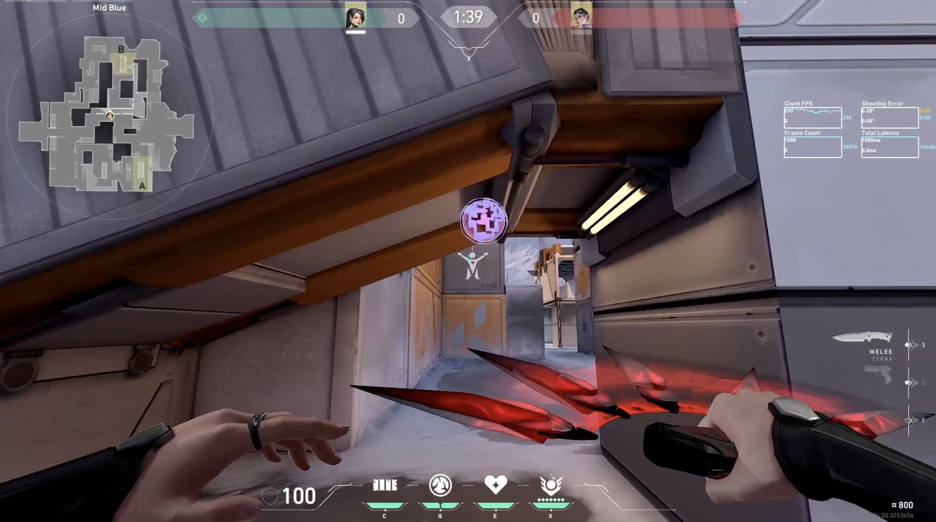 Ruse vision bug pre-patch (Image Source: Riot Games)