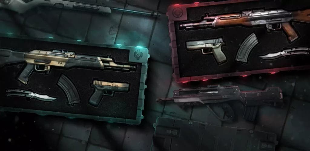 VALORANT CSGO skins