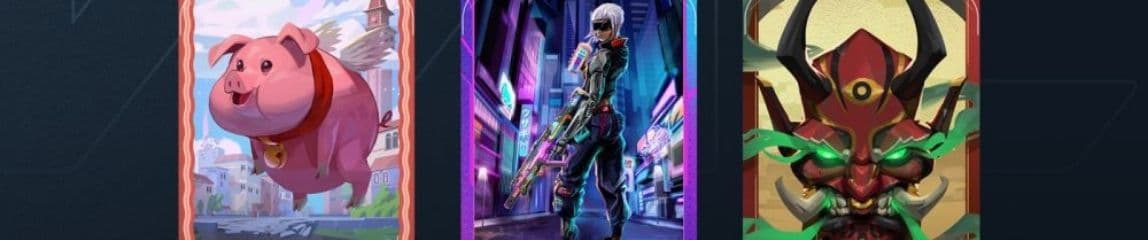 VALORANT Player Card