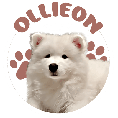 OLLIEON
