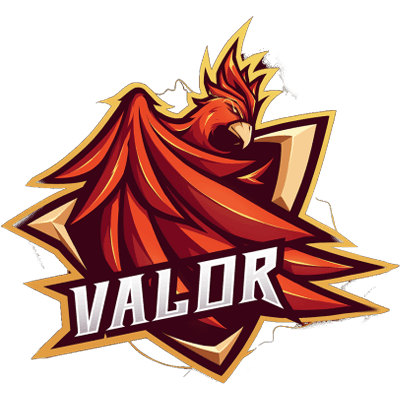 Team Valor