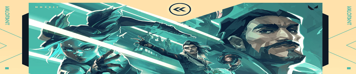 VALORANT rank checker