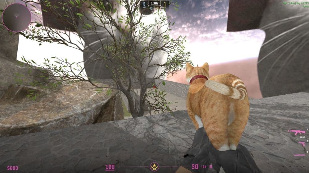 1v1 Cats (Image Credit: 1v1 Cats/Steam)