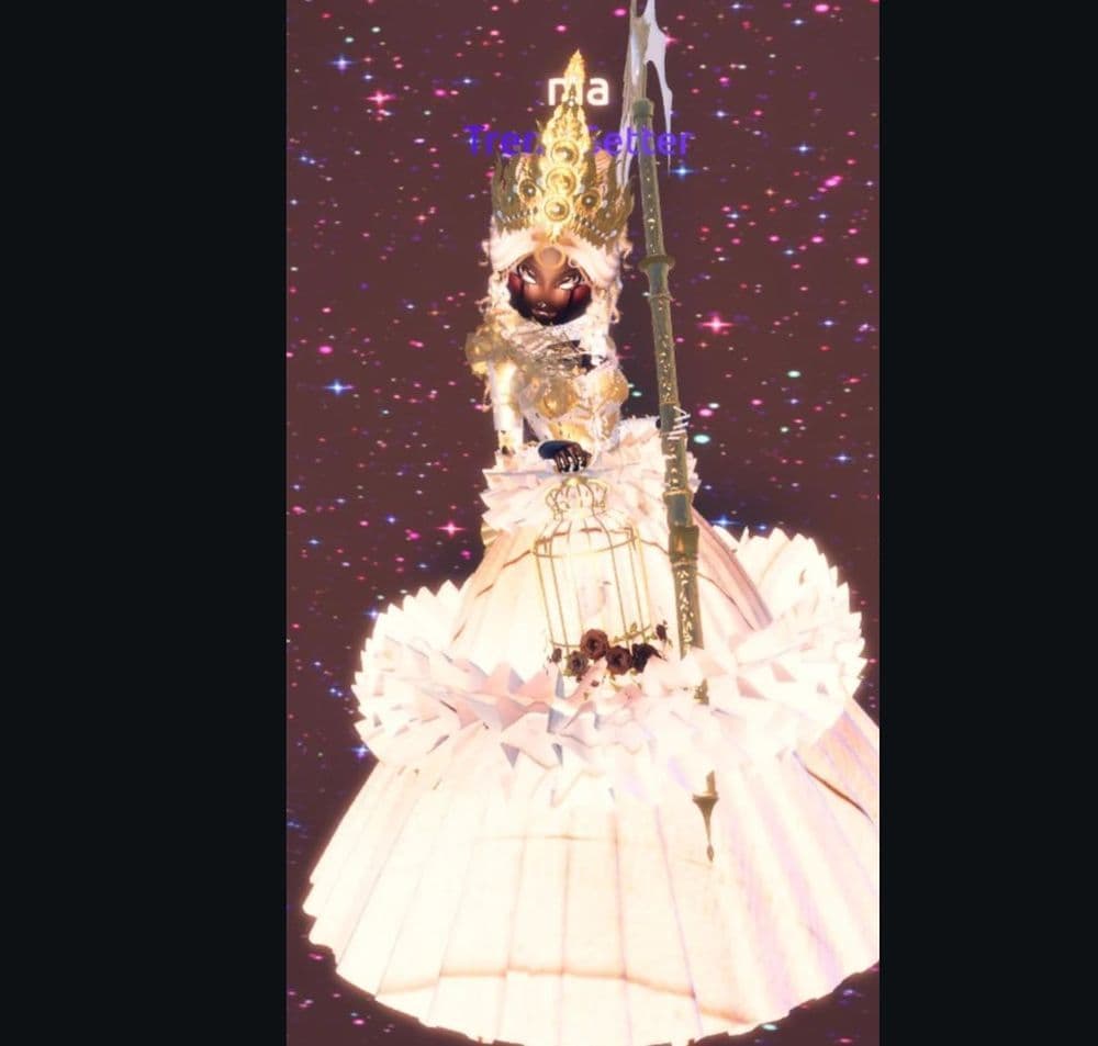 Image Credit: u/xoxoniiaa on r/DressToImpress