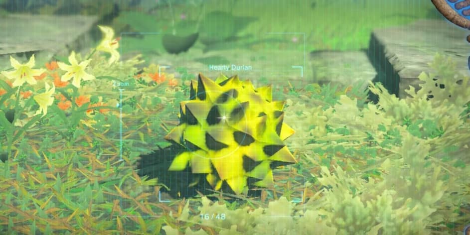 Are Hearty Durians in Tears of the Kingdom?