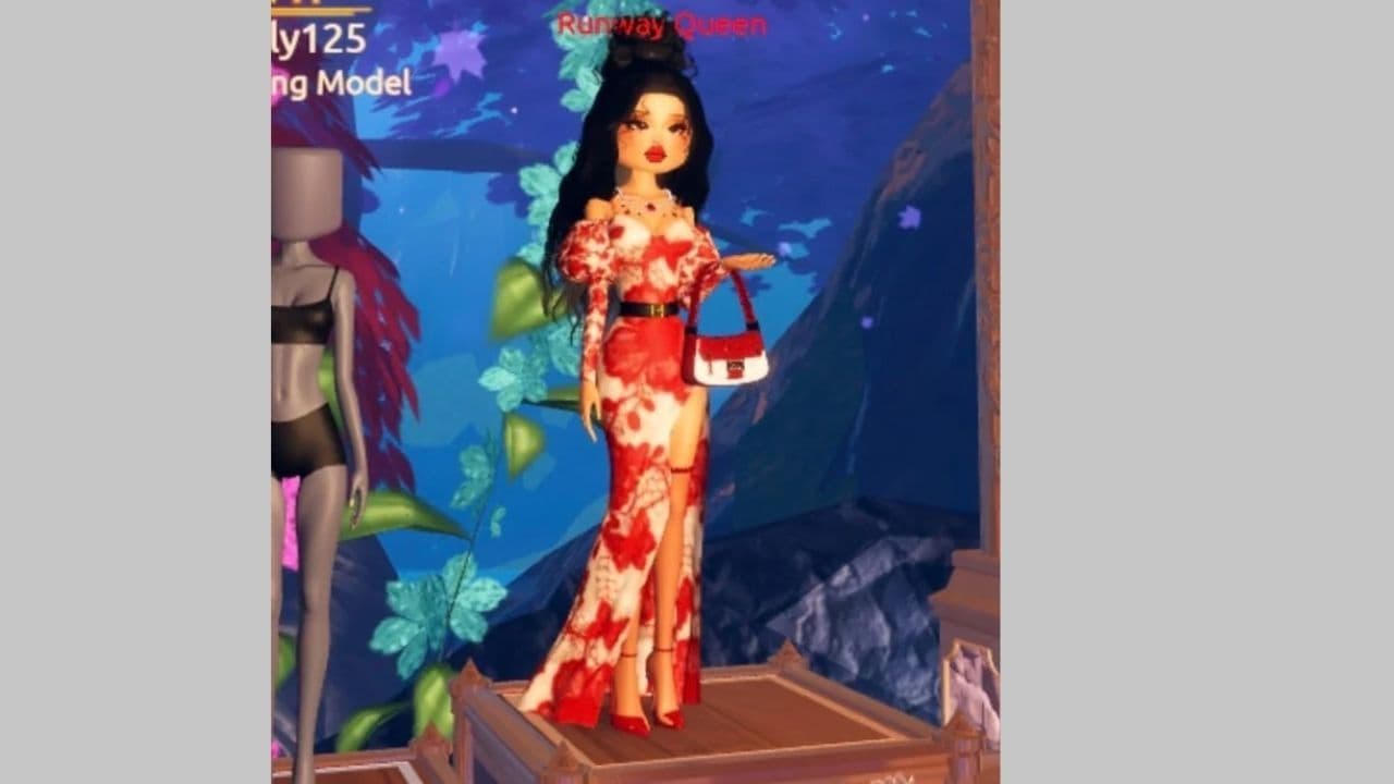 Credit: r/DressToImpressRoblox