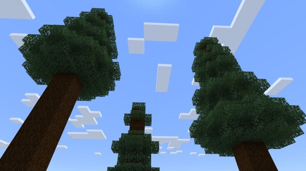 Spruce Trees (Image Credit: Minecraft How To)